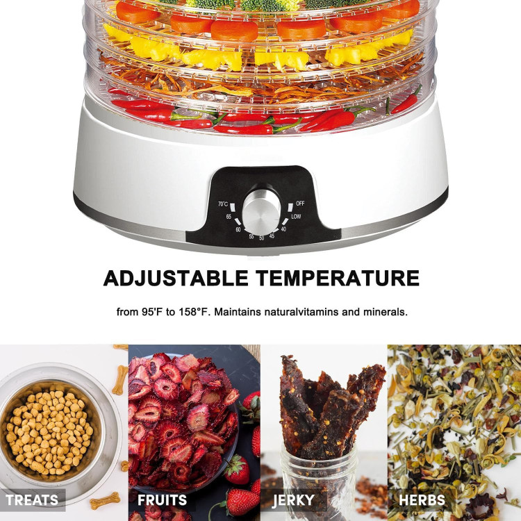 میوه خشک کن با تنظیم دما و تایمر